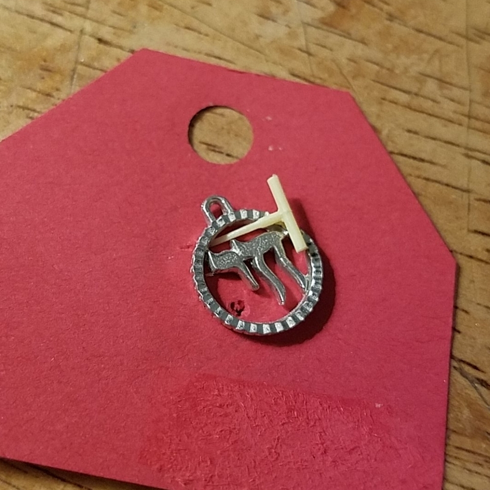 Silver Tone Charm - Asian Symbol